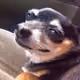 0xa86a2f6f8627446320b544d836d3d0ad3acfc1e7