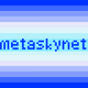 meta_sky_net
