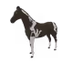0xa88ad2c62b77df2790e2c963029384f002a4492d