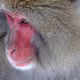 0xa89520839200a22001385d055217f9da8d4b8a37