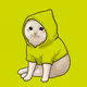 kittyhood_vault