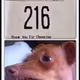 Phteven22