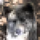 eChiko