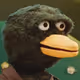 0xa8edafcfc815888fde79f0448f203180c9215549