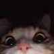 0xa8ef37883d277471781d2bf16b4fb30628e7447d