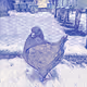 Art_Pigeon