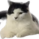 KDegen