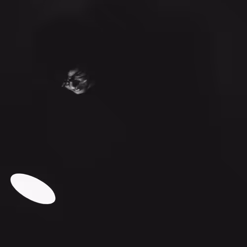 OpenSea banner for @dark