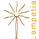 Lampetia