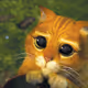 choose_me_plz