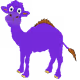 Purple_camel