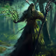 webdruid