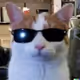 davedefi