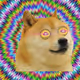 HYPNODOGE