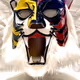 _TIGER_