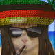 nnaatteedd