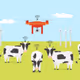 cow_web
