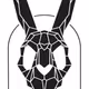 WileyRabbit