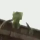 Sayftyhazard