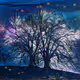 Graphic_World_NFT