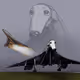 Borzoi888