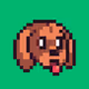 HotDogsWTF
