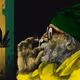 reeferboyz