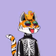 NinjaStoner
