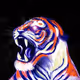 _LuckyTiger_