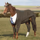 nakedhorse