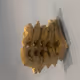 vaultor23