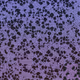 ShiftedEchoes