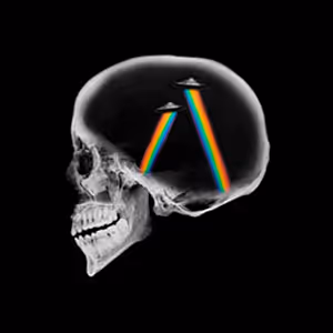 OpenSea profile picture for @REI