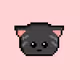 sweet_cats