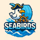 seabirdsweb3