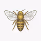 CryptoRiches