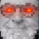 XXSYTD