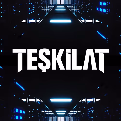 OpenSea profile picture for @Teskilat