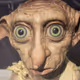 D_Y_O_R