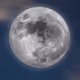 bluemoonNFTs