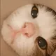Godbeen