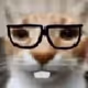 notabotter