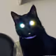 SchmutzNFT