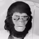ape3020