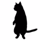 Nekomamire911