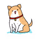 SweatyDog