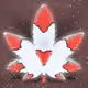 hawksauze