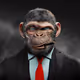 SmartBeast-Official-1stGen