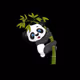 Pandasman
