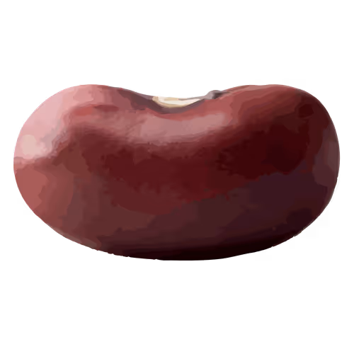 OpenSea profile picture for @Beans